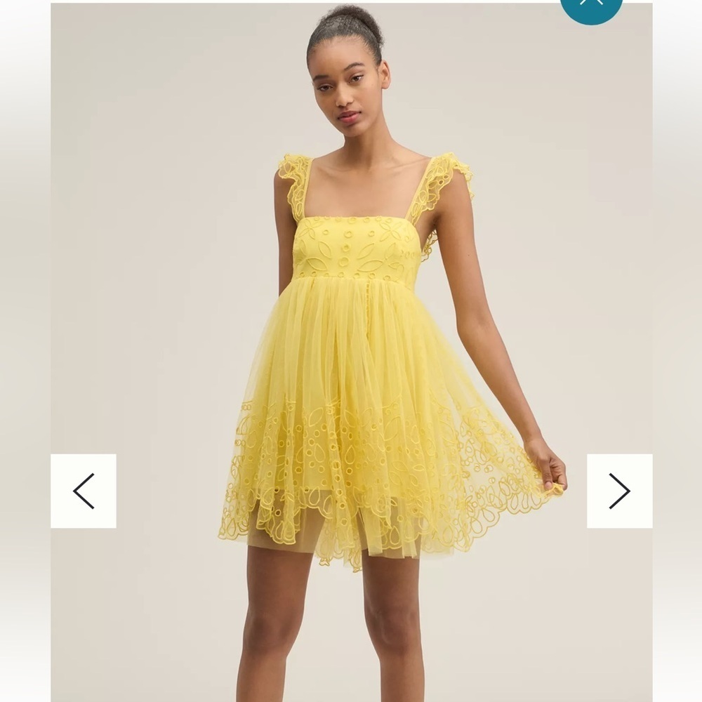 Anthropologie Let Me Be Eyelet Tulle Mini Dress - Picture 5 of 5